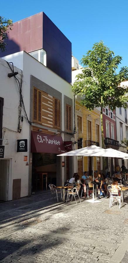 Lofts Msh Canarias * Las Palmas de Gran Canaria